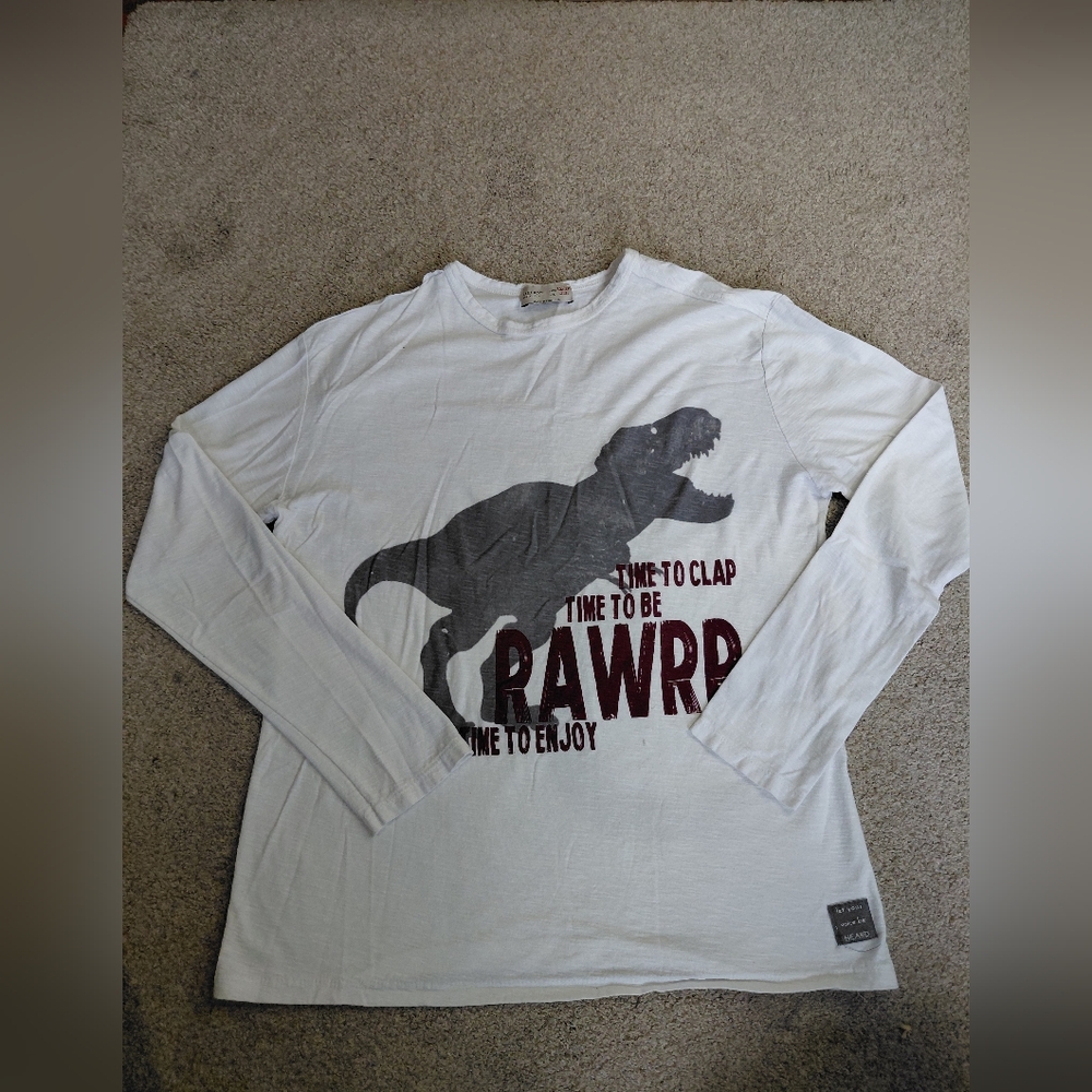 Zara Boys Size 11/12 White Long Sleeve Dinosaur Graphic Tee
